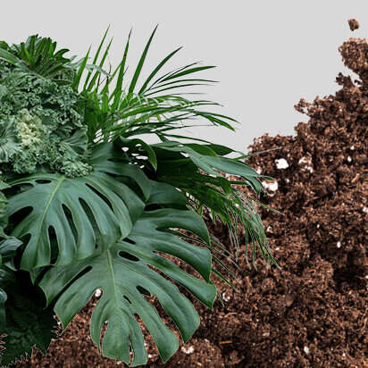 gruenpflanzenerde bubblenavibild